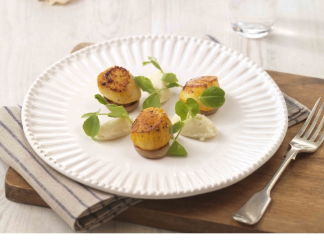 Cornish Scallops with Cauliflower Purée